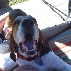 Meet your Posher, Carrie